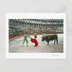 View of a Matador About to Slay the BullSpain Postcard