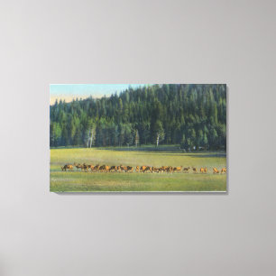View of a Pack of Deer Grazing Canvas Print