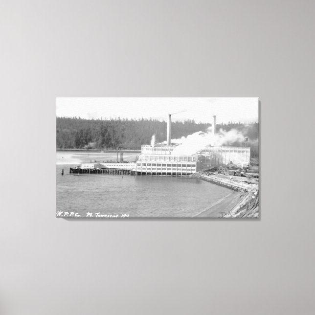 View of a Paper Plant Canvas Print (Front)