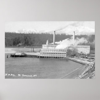 View of a Paper Plant Poster