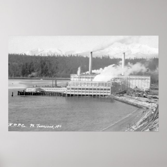 View of a Paper Plant Poster (Front)