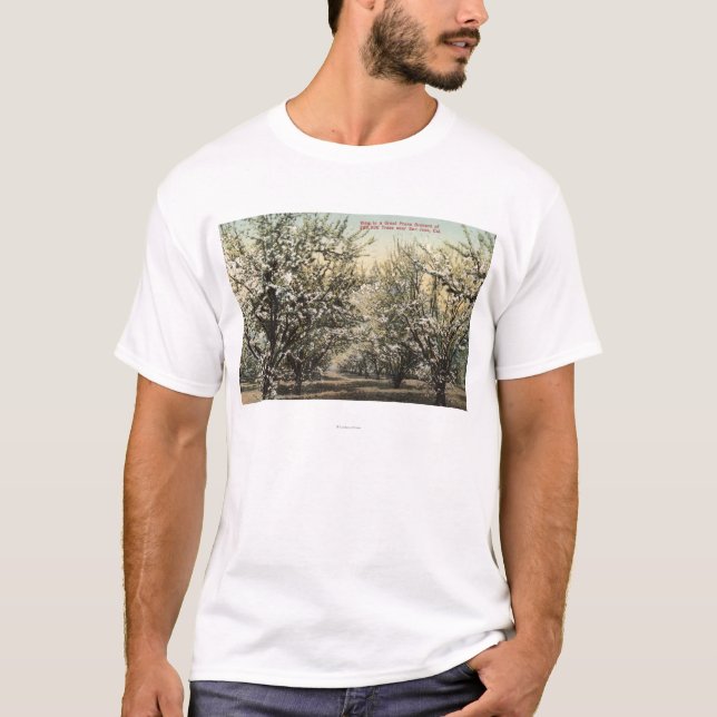 View of a Prune Orchard of 300,000 Trees T-Shirt (Front)