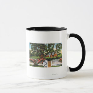 View of a Quaint Residence Mug