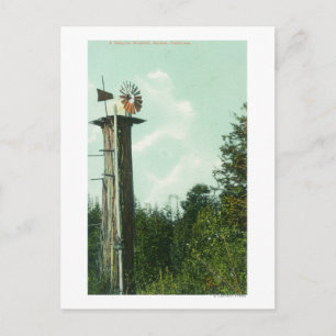View of a Sequoia Wind MillEureka, CA Postcard