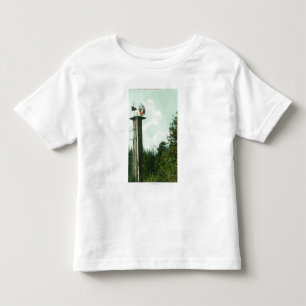 View of a Sequoia Wind MillEureka, CA Toddler T-Shirt