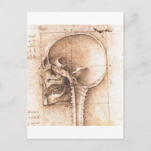 View of a Skull by Leonardo Da Vinci c. 1489 Postcard