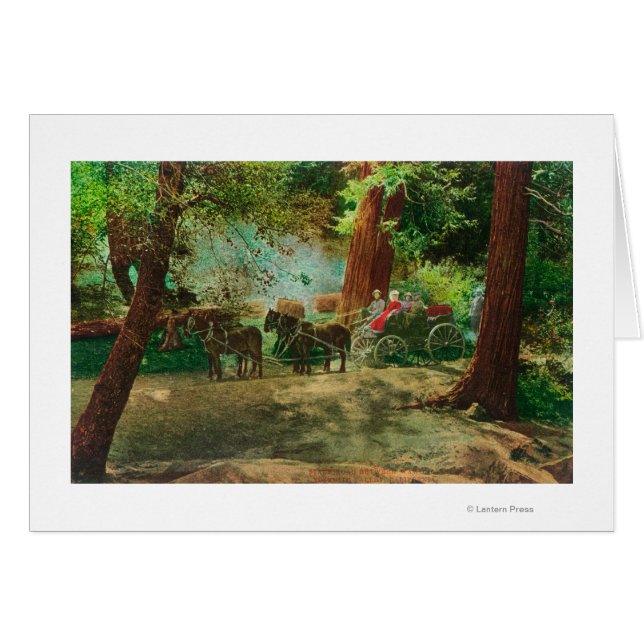 View of a Stage Coach Amongst Big Trees (Front Horizontal)