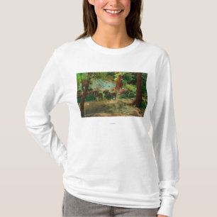 View of a Stage Coach Amongst Big Trees T-Shirt