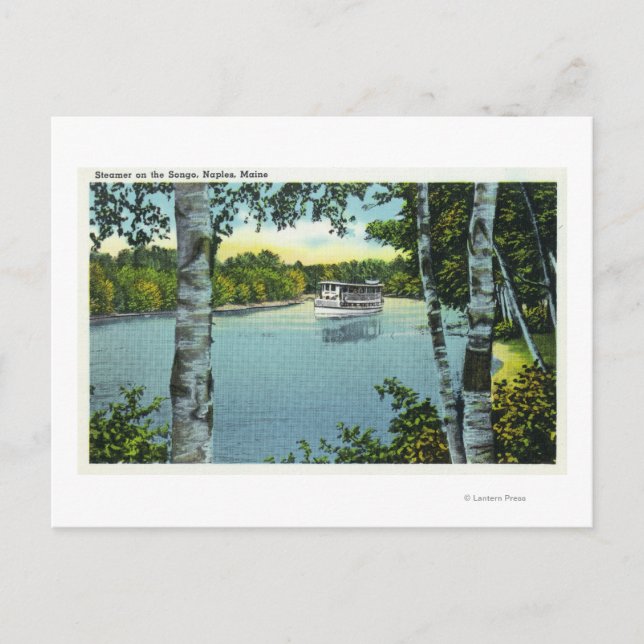 View of a Steamer on the Songo River Postcard (Front)