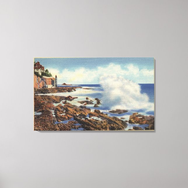 View of a Typical Shoreline Canvas Print (Front)