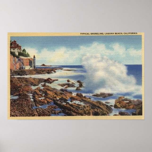 View of a Typical Shoreline Poster (Front)