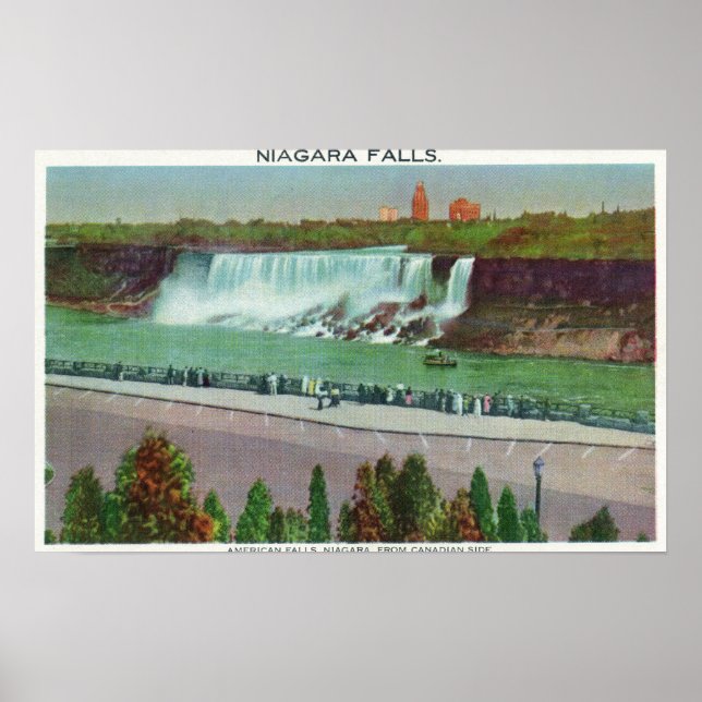 View of American Falls & Coast Poster (Front)