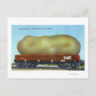 View of an Aroostook Potato on a Train Trolley Postcard