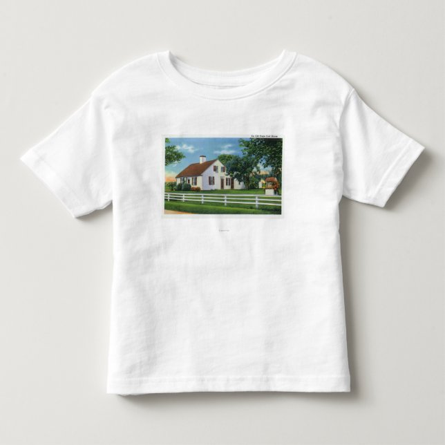 View of an Old Cape Cod Home Toddler T-Shirt (Front)