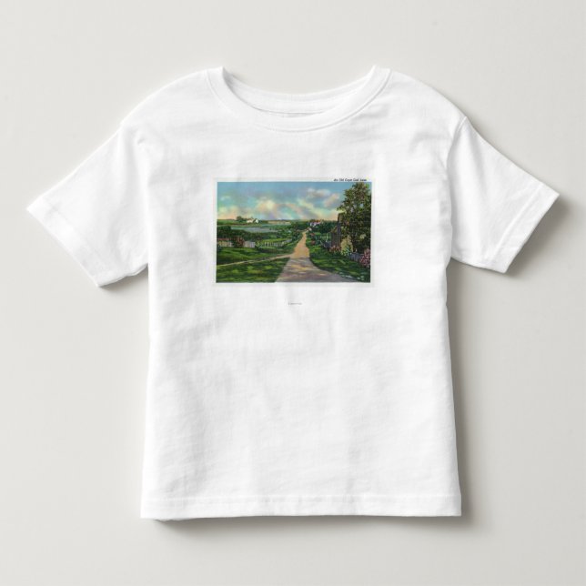 View of an Old Cape Cod Lane Toddler T-Shirt (Front)