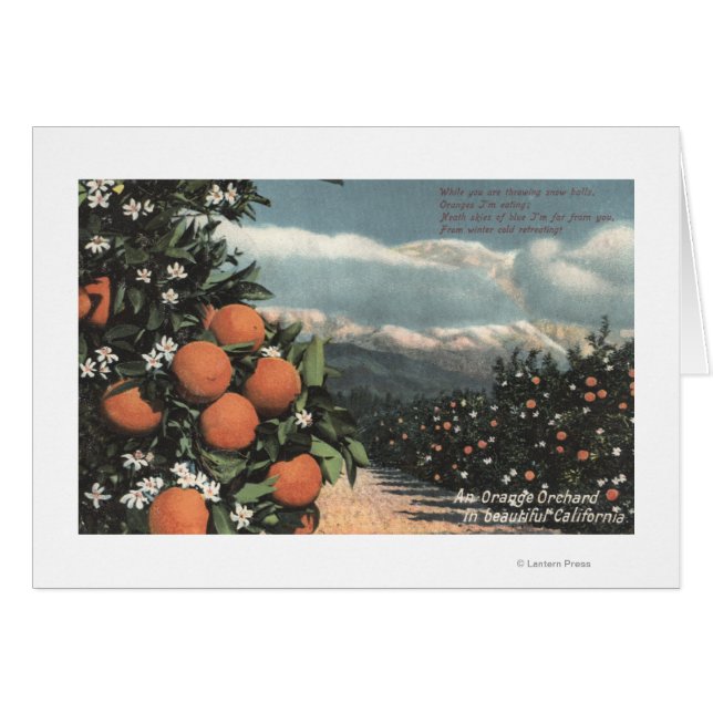 View of an Orange Orchard with Mountains (Front Horizontal)