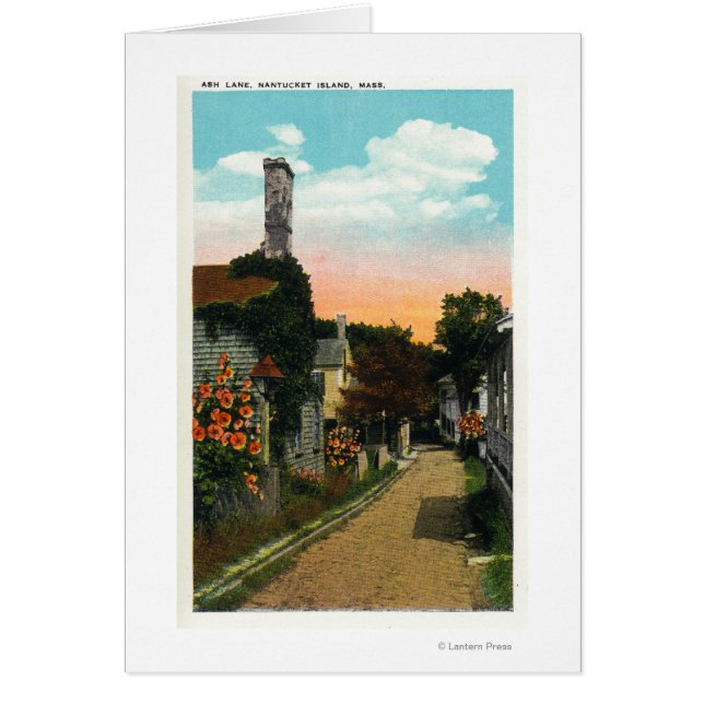 View of Ash Lane (Front)