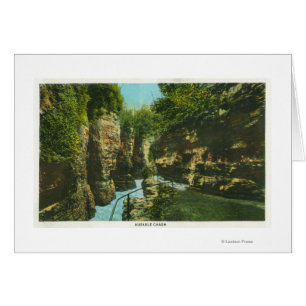 View of Ausable Chasm