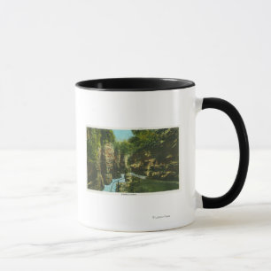 View of Ausable Chasm Mug