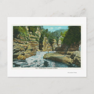 View of Ausable Chasm near Elephant's Head Postcard