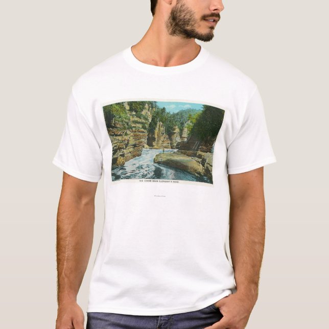 View of Ausable Chasm near Elephant's Head T-Shirt (Front)