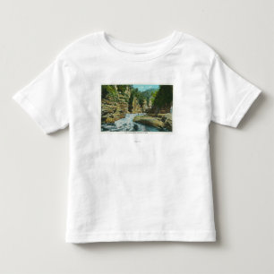 View of Ausable Chasm near Elephant's Head Toddler T-Shirt
