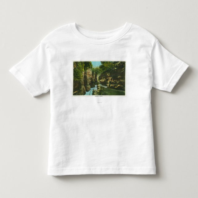 View of Ausable Chasm Toddler T-Shirt (Front)