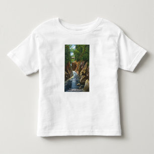 View of Ausable River Falls and Bridge Toddler T-Shirt