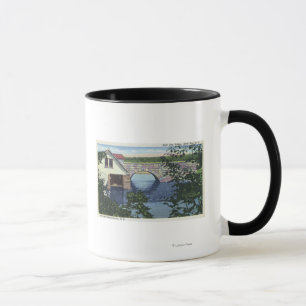 View of Back Bay Bridge Mug