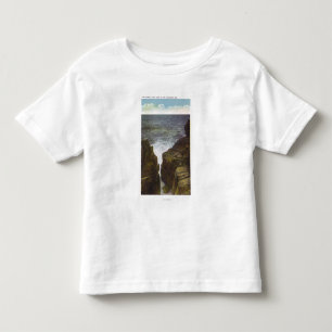 View of Bald Head Cliffs, the Gorge Toddler T-Shirt