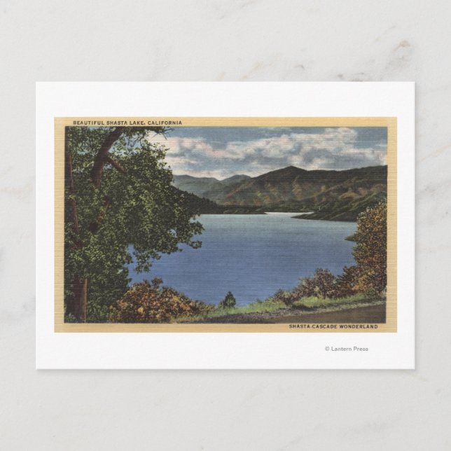View of Beautiful Shasta Lake Postcard (Front)