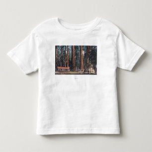View of Big Trees in Mariposa Grove Toddler T-Shirt