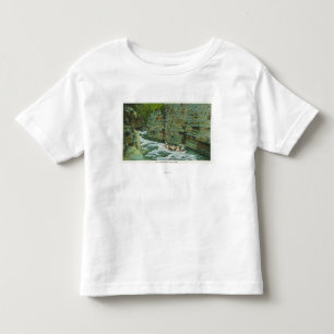View of Boat Starting Down the Flume Toddler T-Shirt