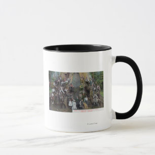 View of Boole, the Largest Tree in the World Mug