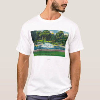 View of Boston Common Frog Pond T-Shirt