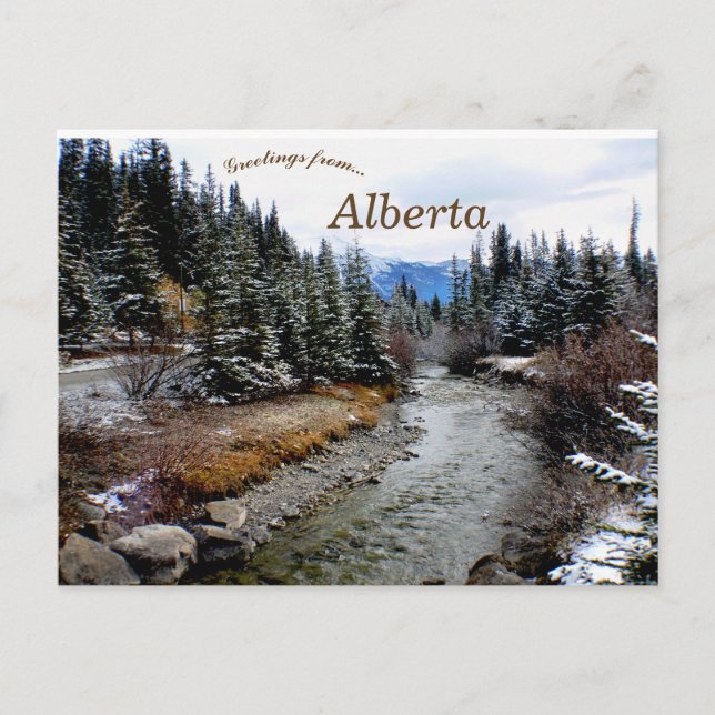 View of Bow River Alberta Canada Postcard (Front)