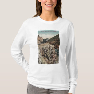View of Box Canon Train T-Shirt