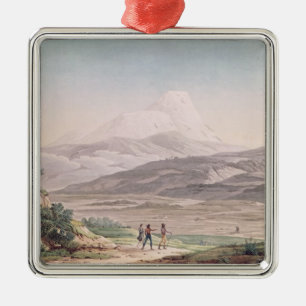 View of Cajambe Metal Tree Decoration