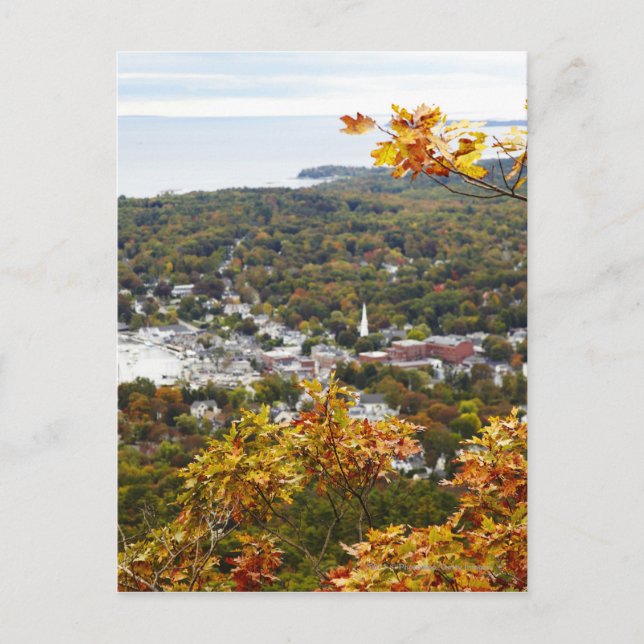 View of Camden Hills State through Fall Trees Postcard (Front)