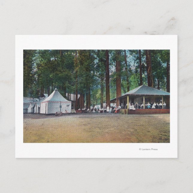View of Camp CurryYosemite Nat'l Park, CA Postcard (Front)