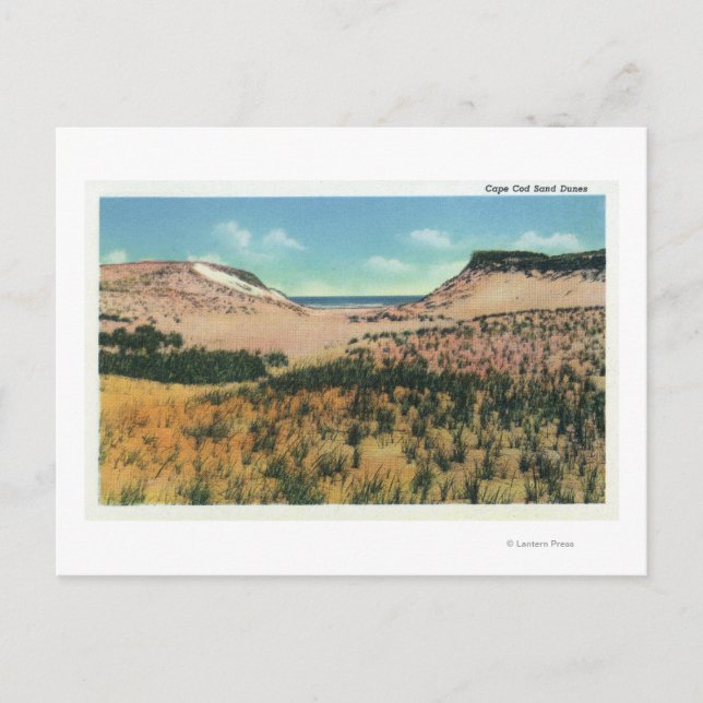 View of Cape Cod Sand Dunes 2 Postcard (Front)