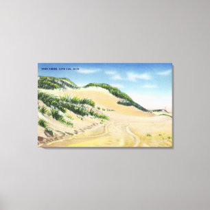 View of Cape Cod Sand Dunes Canvas Print
