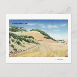 View of Cape Cod Sand Dunes Postcard
