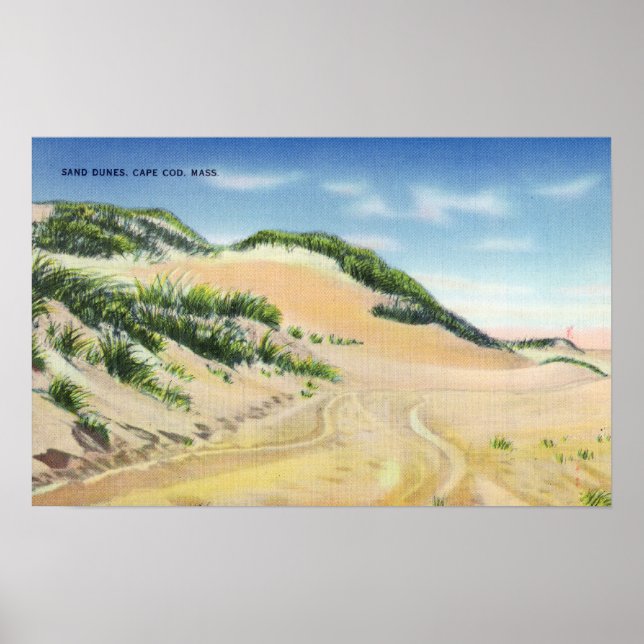 View of Cape Cod Sand Dunes Poster (Front)