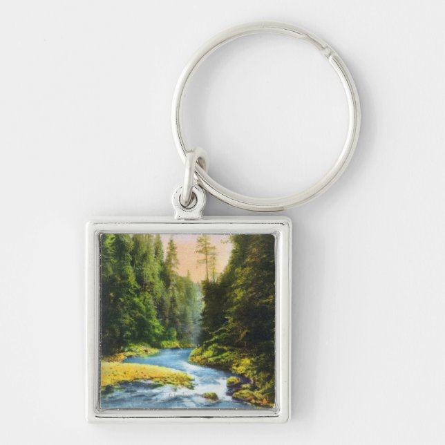 View of Capilano Suspension Bridge # 2 Key Ring (Front)