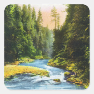 View of Capilano Suspension Bridge # 2 Square Sticker