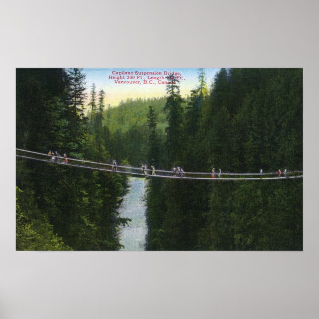 View of Capilano Suspension Bridge Poster (Front)
