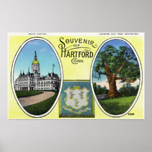 View of Capitol Bldg and Oak Tree Poster