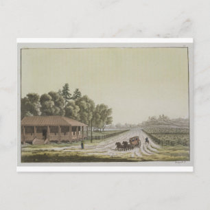 View of Capitol Hill, Washington (colour engraving Postcard