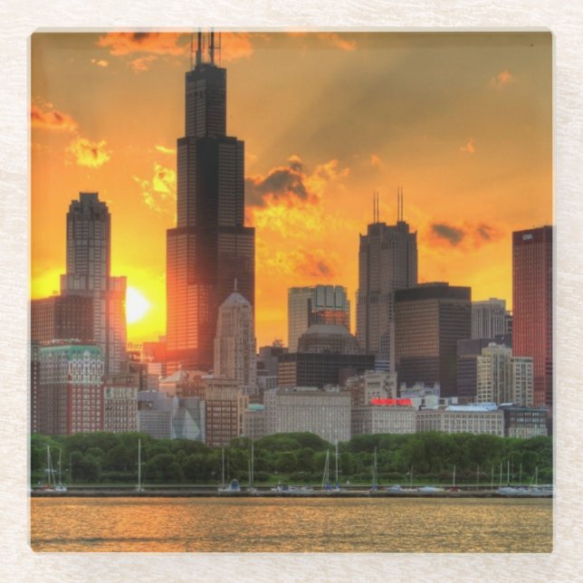 View of Chicago's skyline from  Adler Glass Coaster (Front)